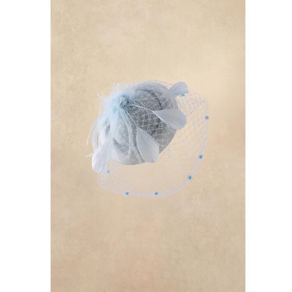 Fascinator Hat Veil Feather Fascinators Hair Clip Tea Party Pillbox Derby new
